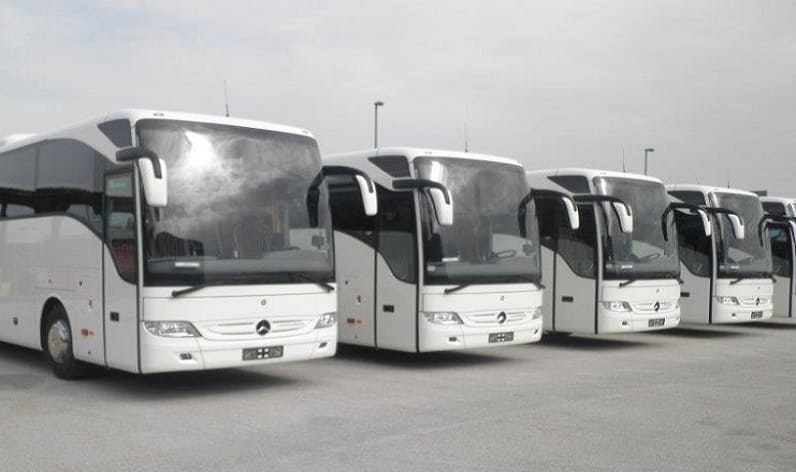 East Flanders: Bus company in Zele in Zele and Flanders