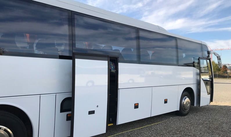 Antwerp: Buses reservation in Mortsel in Mortsel and Flanders